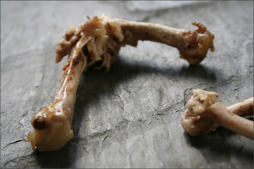 Chicken Bones 2